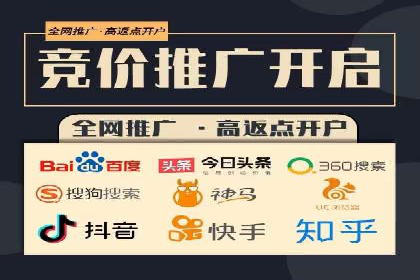 解析某某SEM服务公司的广告投放策略与效果评估